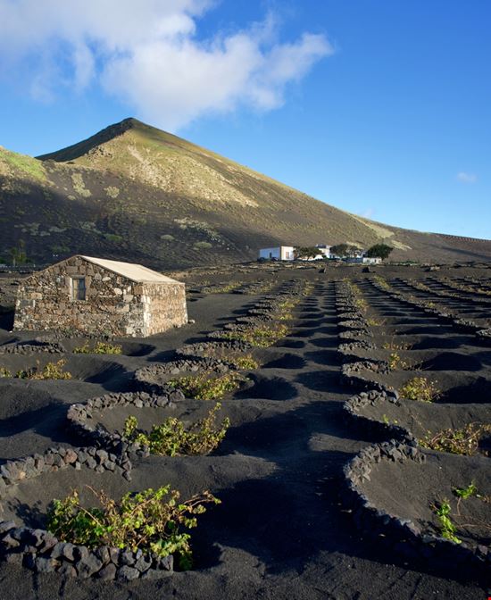  Lanzarote Shutterstock.com 