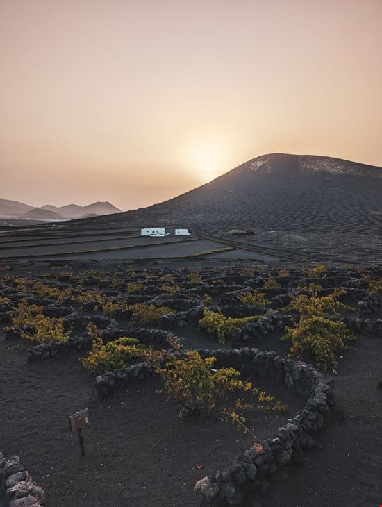  Lanzarote Shutterstock.com 