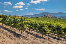 CHIANTI
