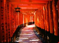 Fushimi Inari Shrine