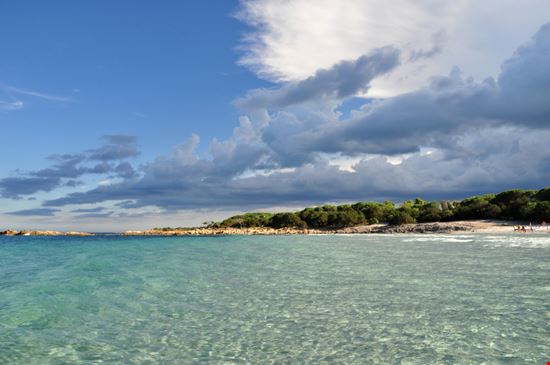 Cala Ginepro Cala Ginepro Andrea Torre - Shutterstock.com 