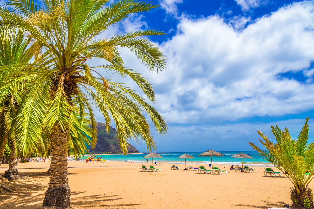 Isole Canarie: quando andare e cosa vedere