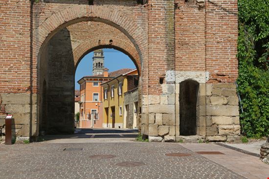 Soave Soave spatuletail - Shutterstock.com 
