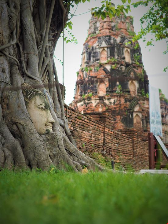 Ayutthaya Il sito archeologico Shutterstock.com 