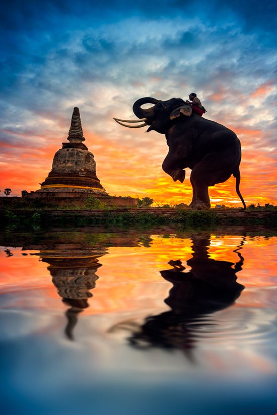 Ayutthaya Il sito archeologico Shutterstock.com 