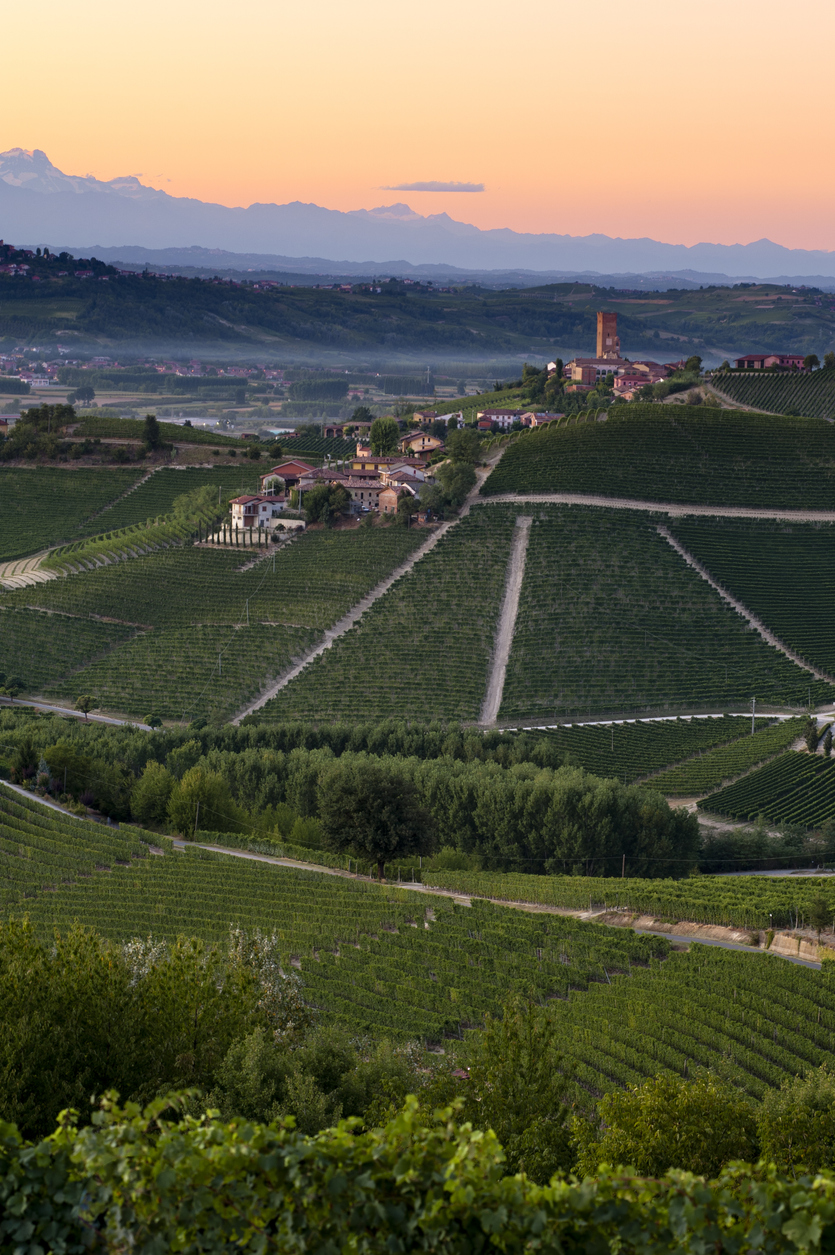 Barbaresco