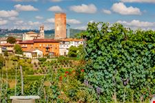 Barbaresco