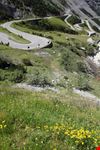 Parco Nazionale dello Stelvio