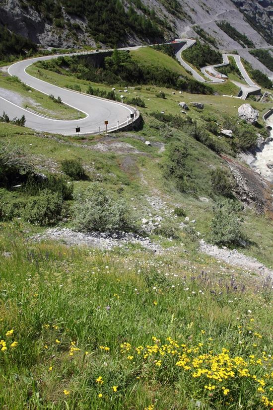 Parco Nazionale dello Stelvio Un parco delle meraviglie Tupungato - Shutterstock.com 