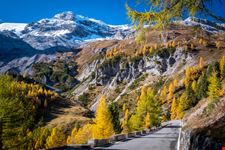 Parco Nazionale dello Stelvio