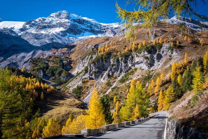 Parco Nazionale dello Stelvio - Un parco delle meraviglie - Alexey Oblov - Shutterstock.com