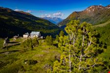 Parco Nazionale dello Stelvio