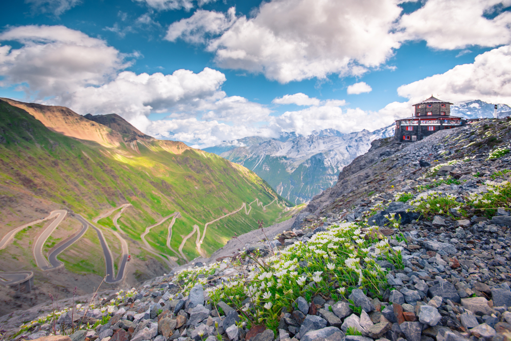 Parco Nazionale dello Stelvio