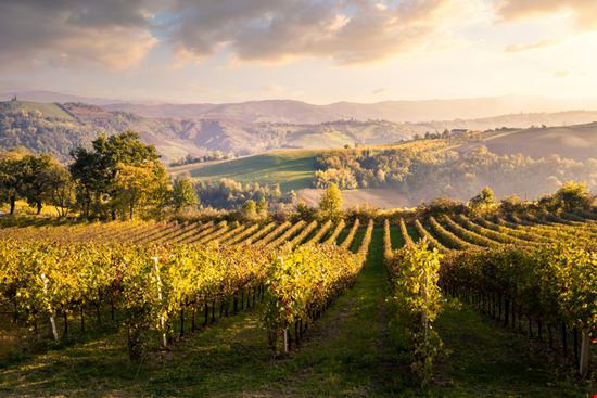 Foliage nelle Terre di Castelli Autunno nel modenese Stefano Termanini - Shutterstock.com 