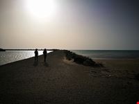 Scoglitti