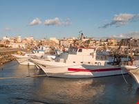 Scoglitti