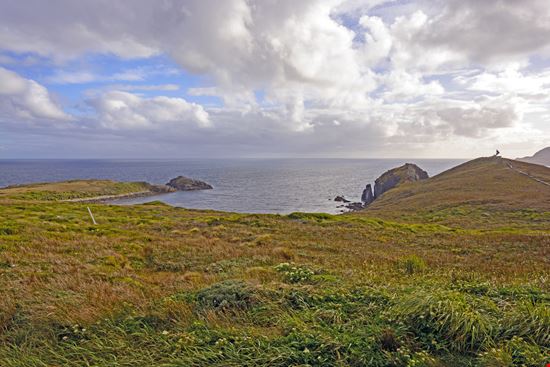 Capo Horn Capo Horn Wildnerdpix - Shutterstock.com 