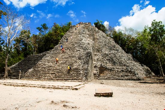 Coba Coba Madrugada Verde - Shutterstock.com 