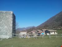Cartore