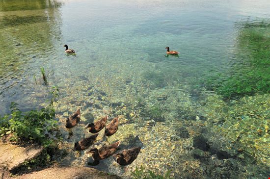 Il lago della Posta Il lago della Posta SerFeo - Shutterstock.com 