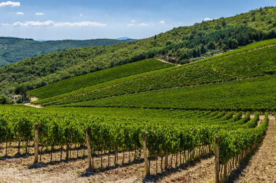 Vertine Vertine Emanuele Mazzoni Photo - Shutterstock.com 