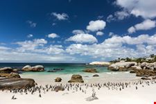 Boulders Beach
