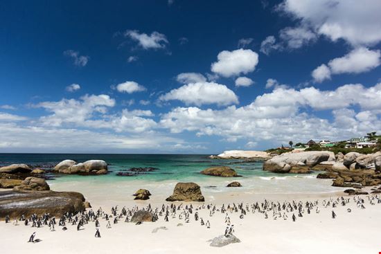 Boulders Beach Boulders Beach Olena Granko - Shutterstock.com Olena Granko