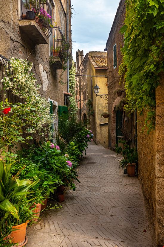 Capalbio Borgo antico  stock.adobe.com 