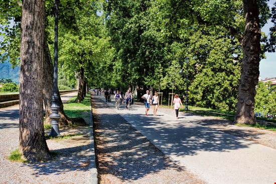 Lucca Antiche mura stock.adobe.com 