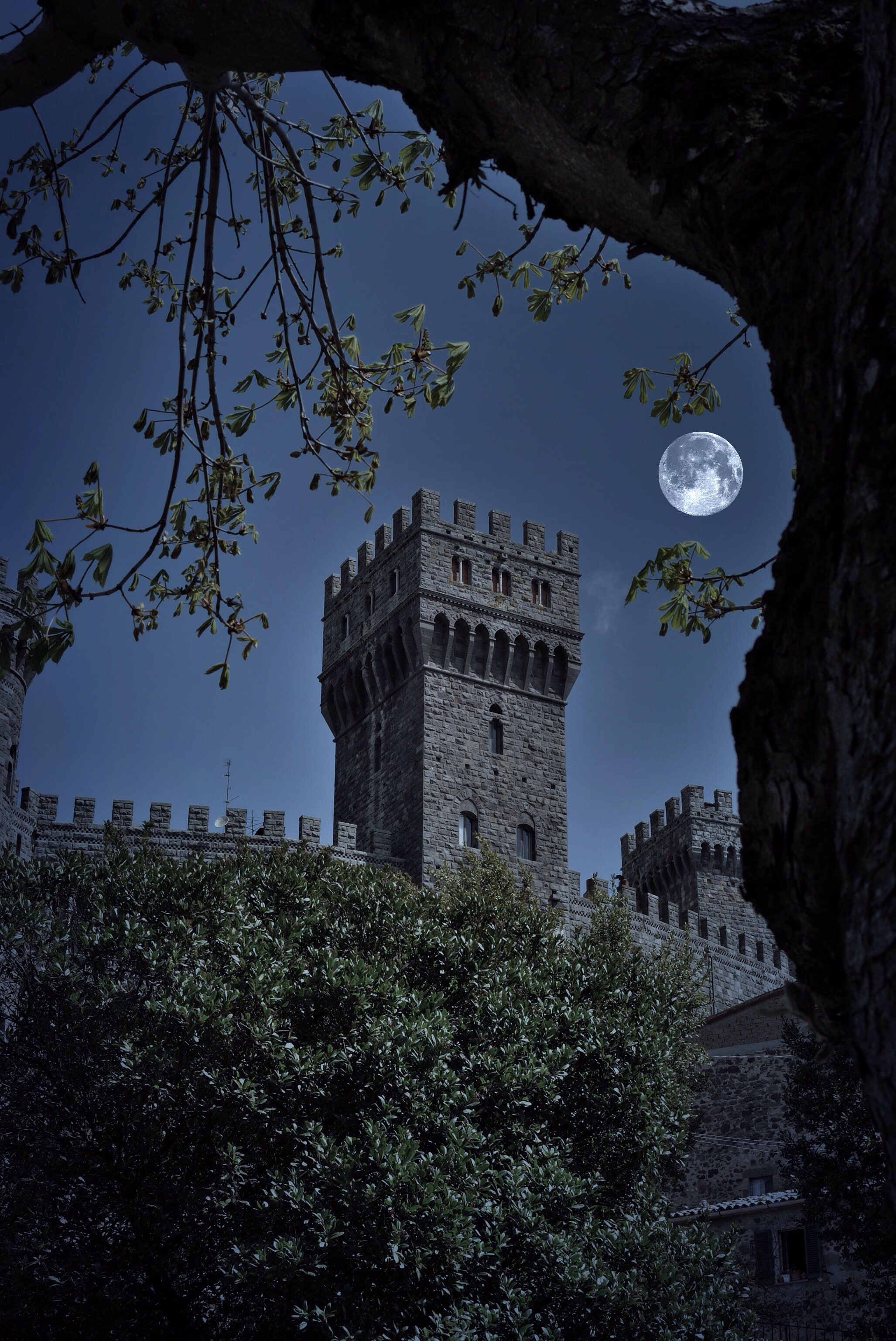 Torre Alfina