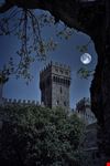 Torre Alfina
