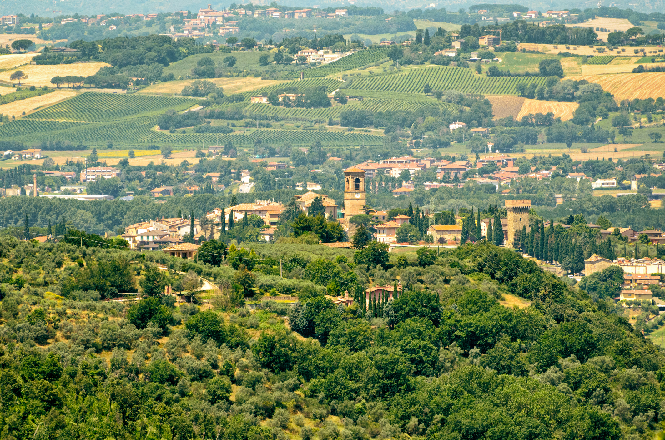 Torgiano