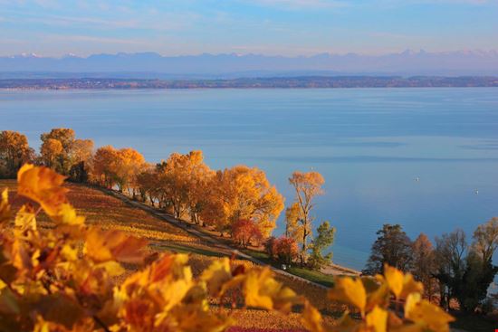 Lago di Neuchatel Lago di Neuchatel Teng Wang - Shutterstock.com 