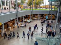 Van Gogh Museum