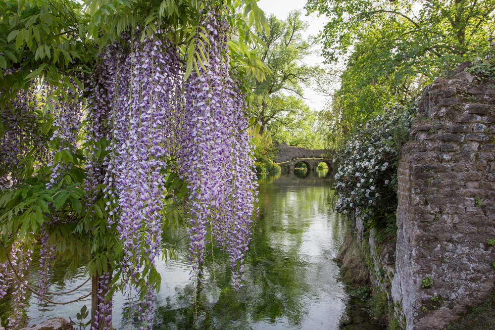 Oasi di Ninfa