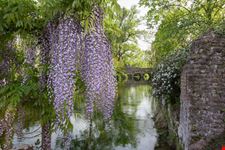 Oasi di Ninfa