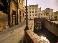 Livorno