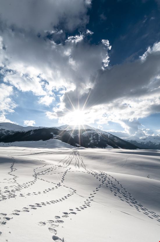 Abruzzo Piani di Pezza stock.adobe.com 