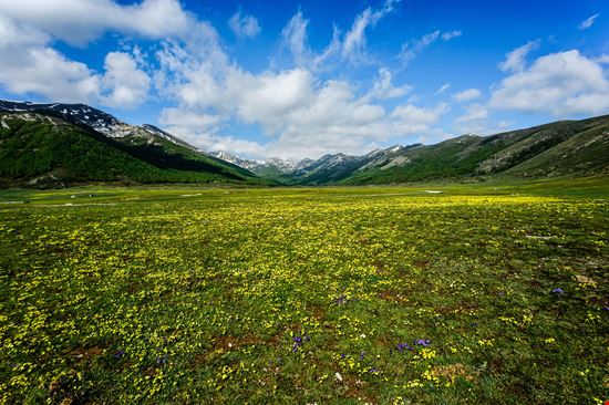 Abruzzo Piani di Pezza stock.adobe.com 