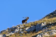 Abruzzo