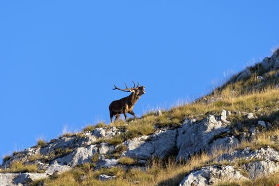 Abruzzo Piani di Pezza stock.adobe.com 