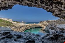Roca