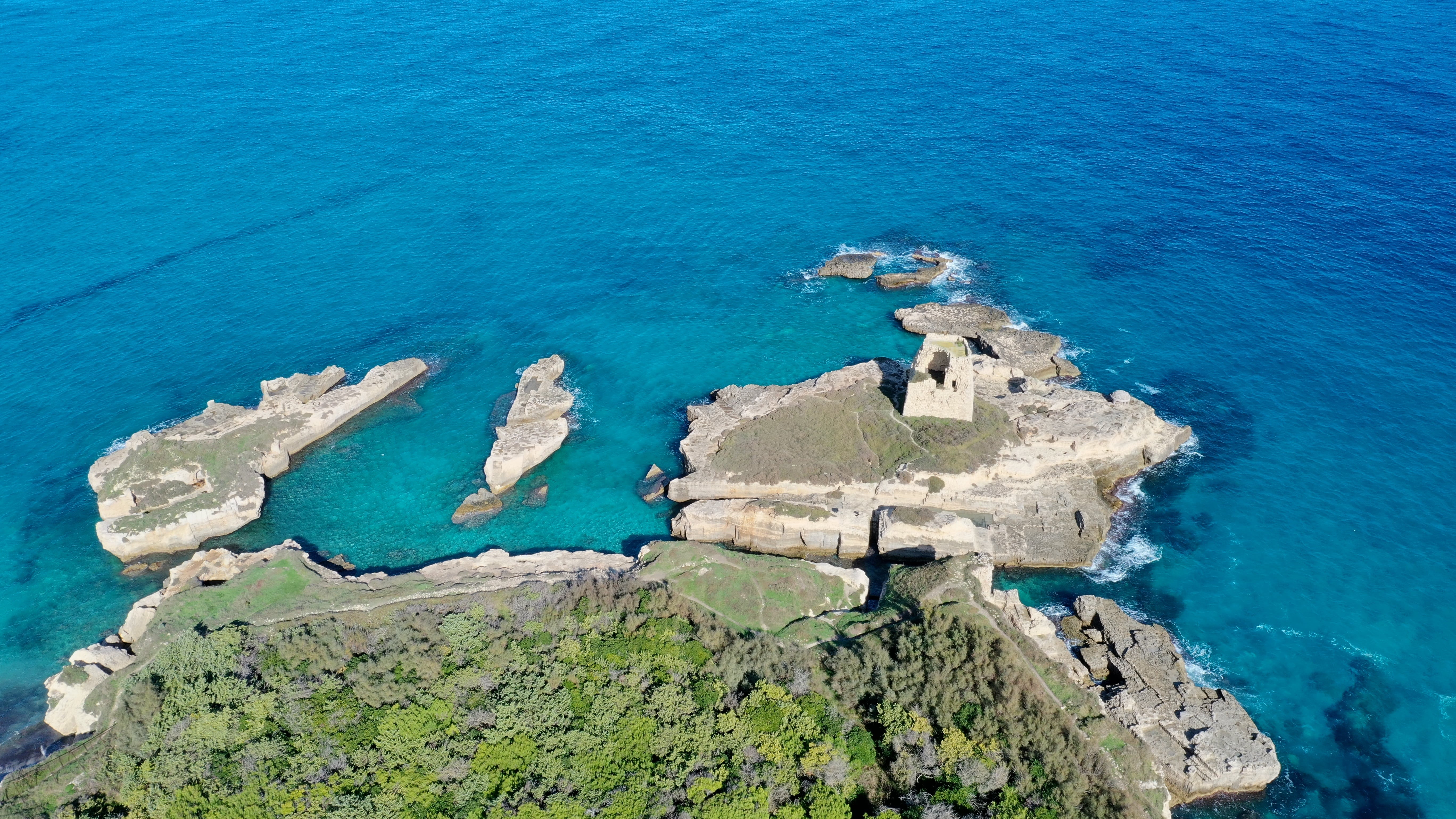 Roca