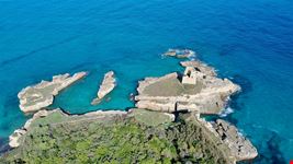 Roca