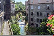 Bagnone