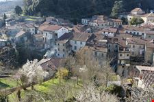 Bagnone