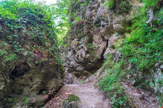 Sentiero Li Vurgacci Il sentiero da fare nel verde delle Marche stock.adobe.com 