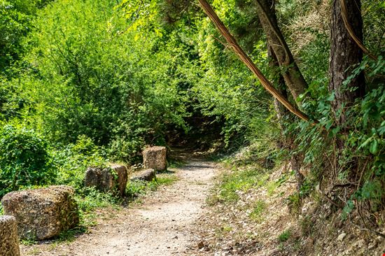 Sentiero Li Vurgacci Il sentiero da fare nel verde delle Marche stock.adobe.com 