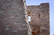 Collepino