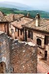 Collepino